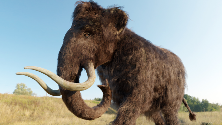 A 52,000-Year-Old Piece of Woolly Mammoth ‘Jerky’ Is Being Called a ‘Game-Changer’ by Scientists