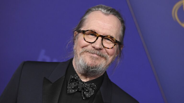 Harry Potter Star Gary Oldman, 20 Years After Debuting as Sirius Black, Is Up for Playing Dumbledore in TV Reboot