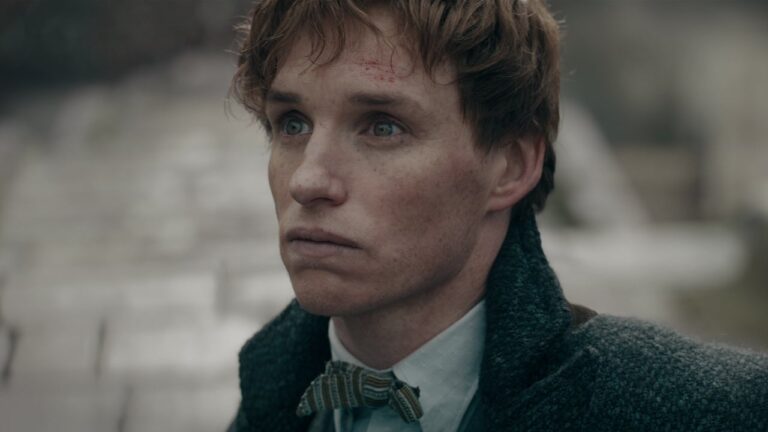 Fantastic Beasts Star Says the Harry Potter Franchise Is ‘Probably’ Over