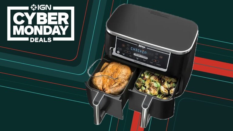 Ninja Foodi Air Fryer Deals Are Still Live for Cyber Monday