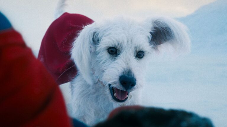 What the Surprise Character Who Called Superman A B!tch Means for the Future of the DCU