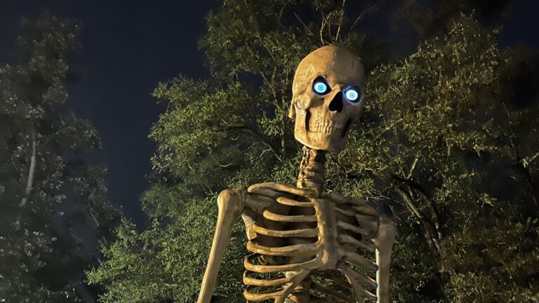 Where to Buy That Giant Skeleton Your Neighbors Just Put Up