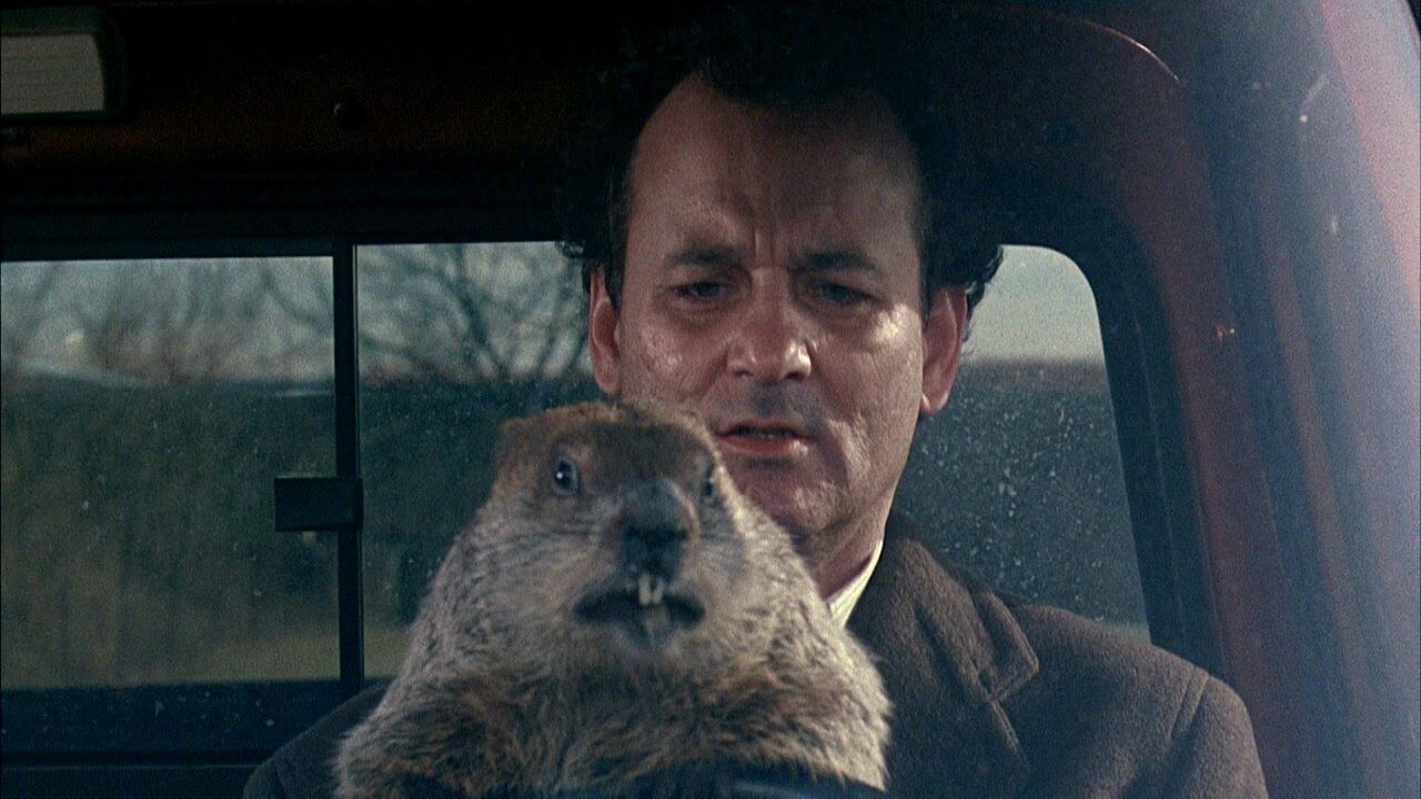 Bill Murray with a gopher on his lap in Groundhog Day (1993).